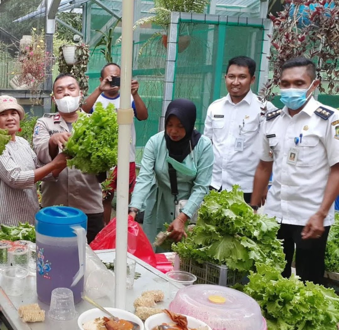 Panen Bersama 1000 Lubang Hidroponik