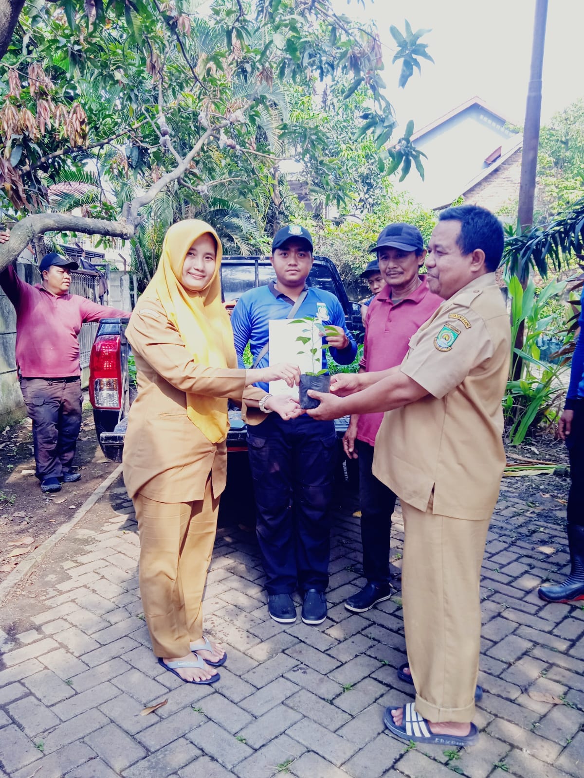 menerima bantuan bibit dari dinas ketahanan pangan kota tangerang