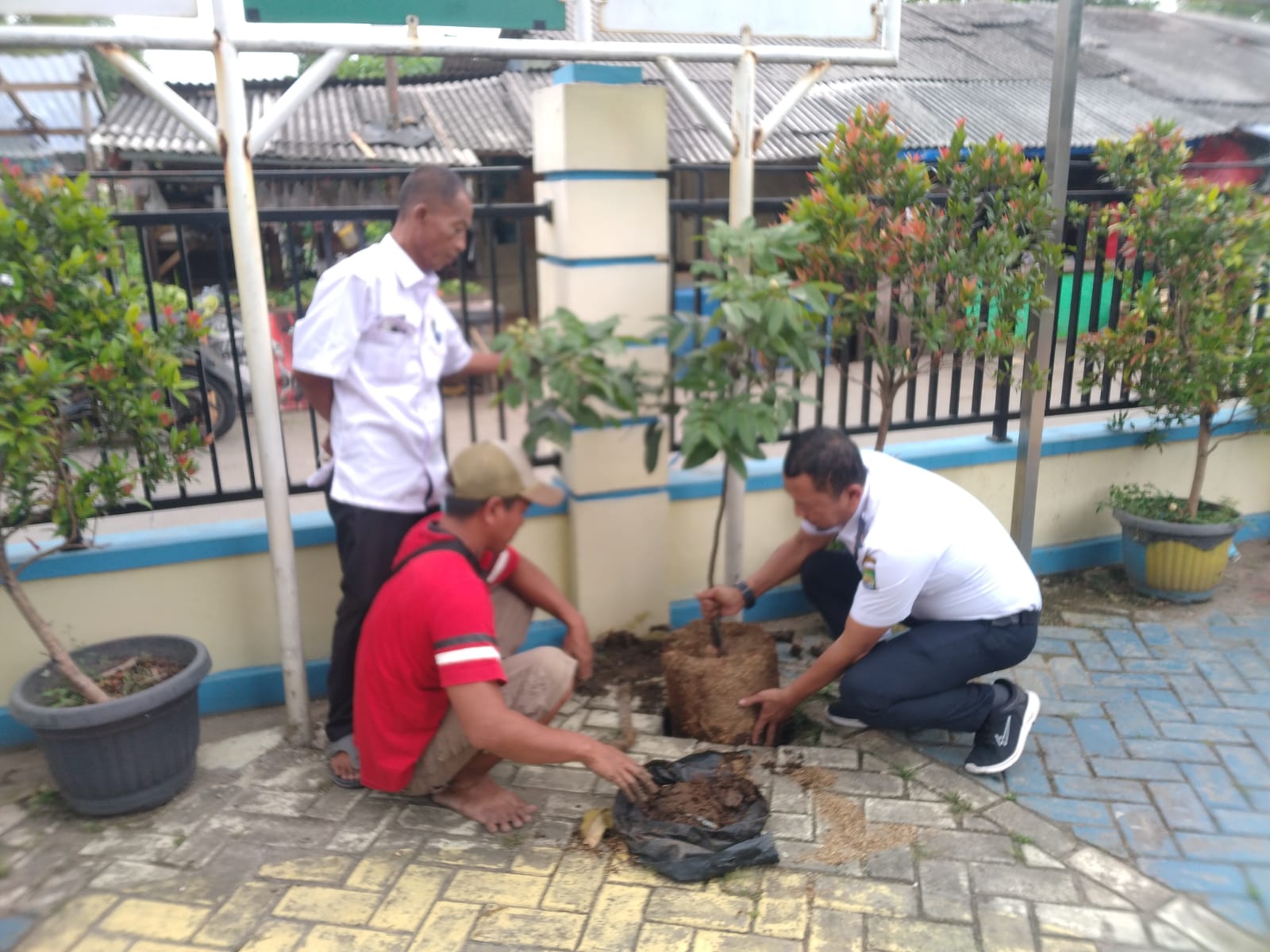 Penanaman Pohon Penghijauan di Halaman Kantor Kelurahan Jatake