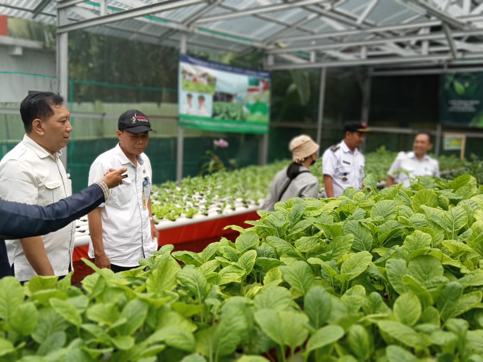 Kunjungan Tim Verifikasi Kampung Tematik di KWT Hijau Daun