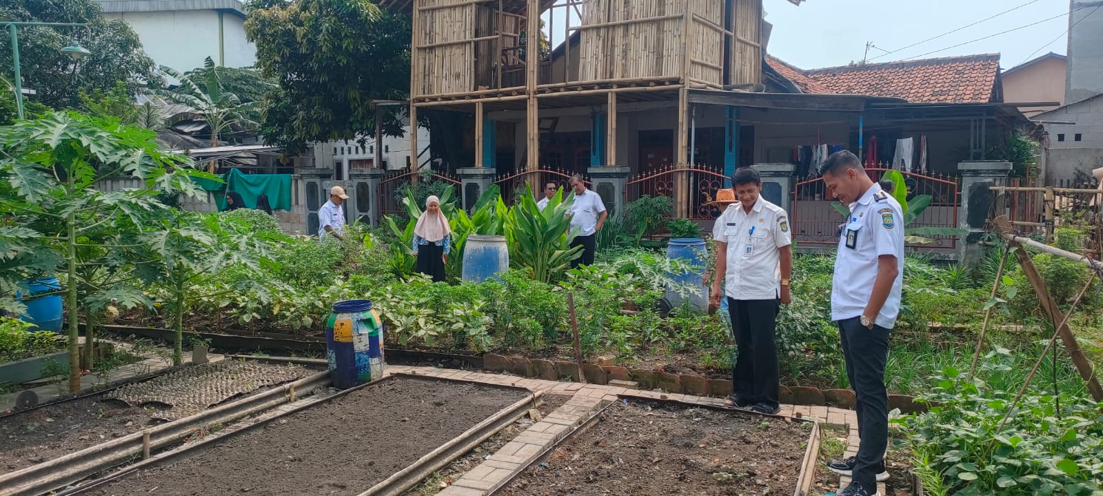 Monitoring KWT Deskorda RW 04 Kelurahan Keroncong