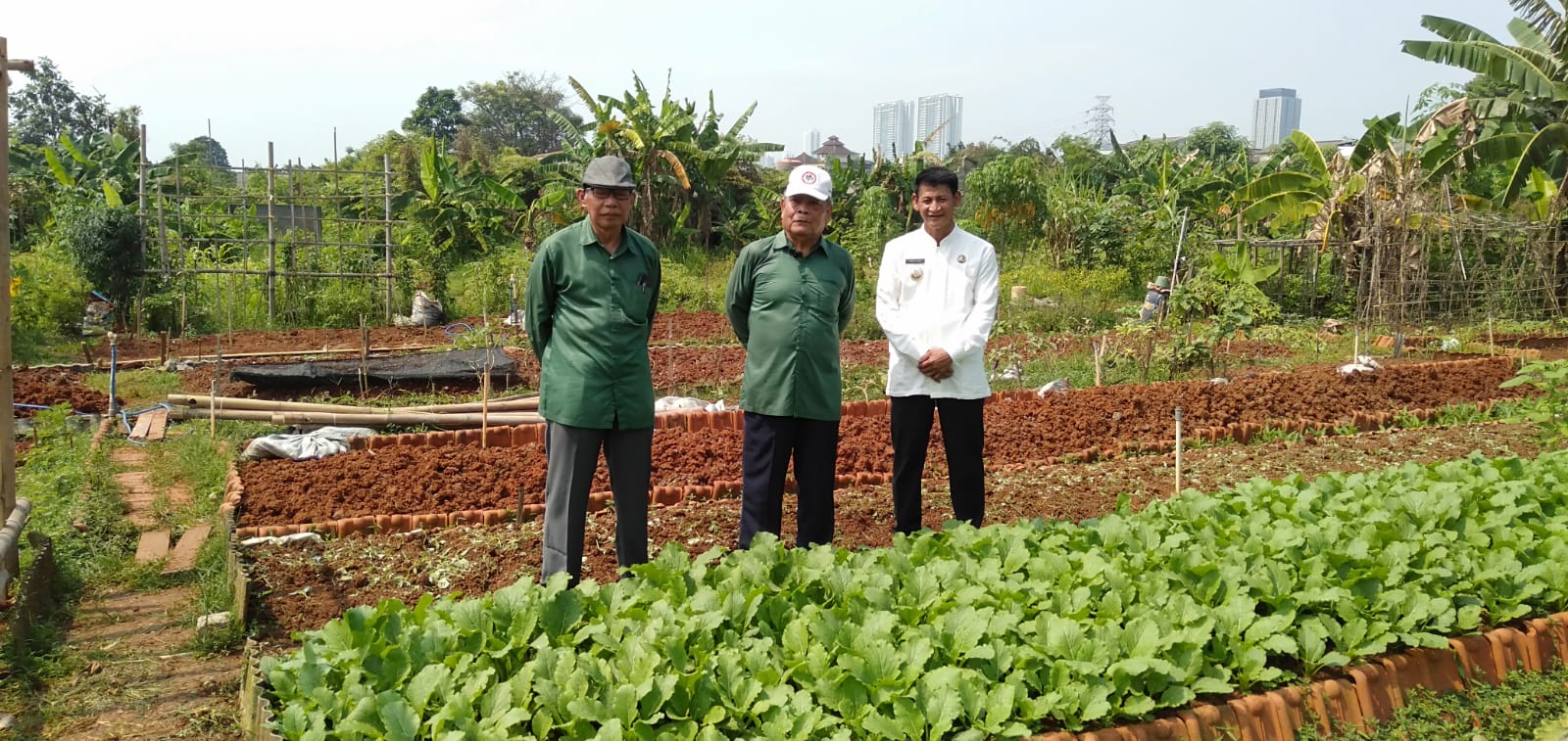 Menerima kunjungan tim monitoring dan evaluasi Kota Sehat dalam rangka persiapan lomba tingkat nasional di KWT Gemas Implan