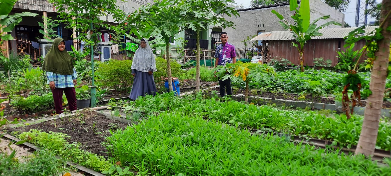 Monitoring KWT Deskorda RW 04 Kelurahan Keroncong