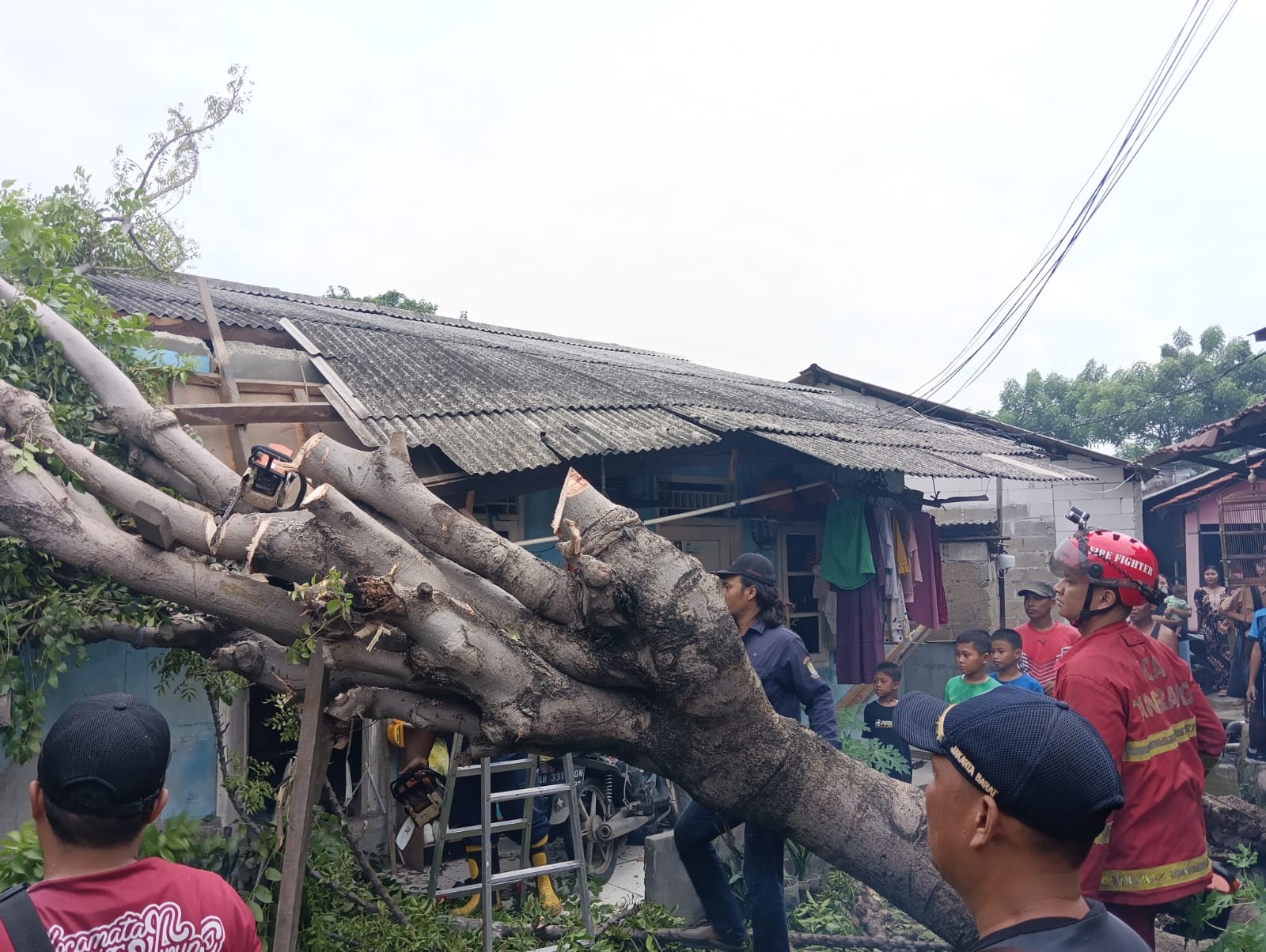 Tim Satgas Kecamatan Jatiuwung Bantu Evakuasi Pohon Tumbang di Wilayah Kelurahan Alam Jaya RW 03