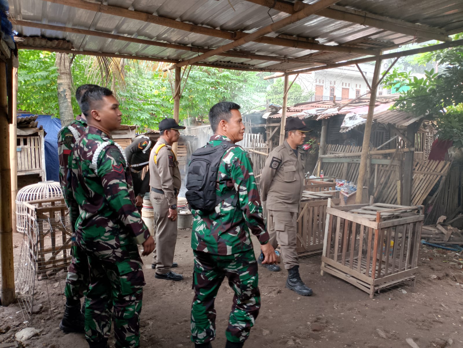 Melakukan investigasi adanya indikasi judi sabung ayam di wilayah Kelurahan Gandasari