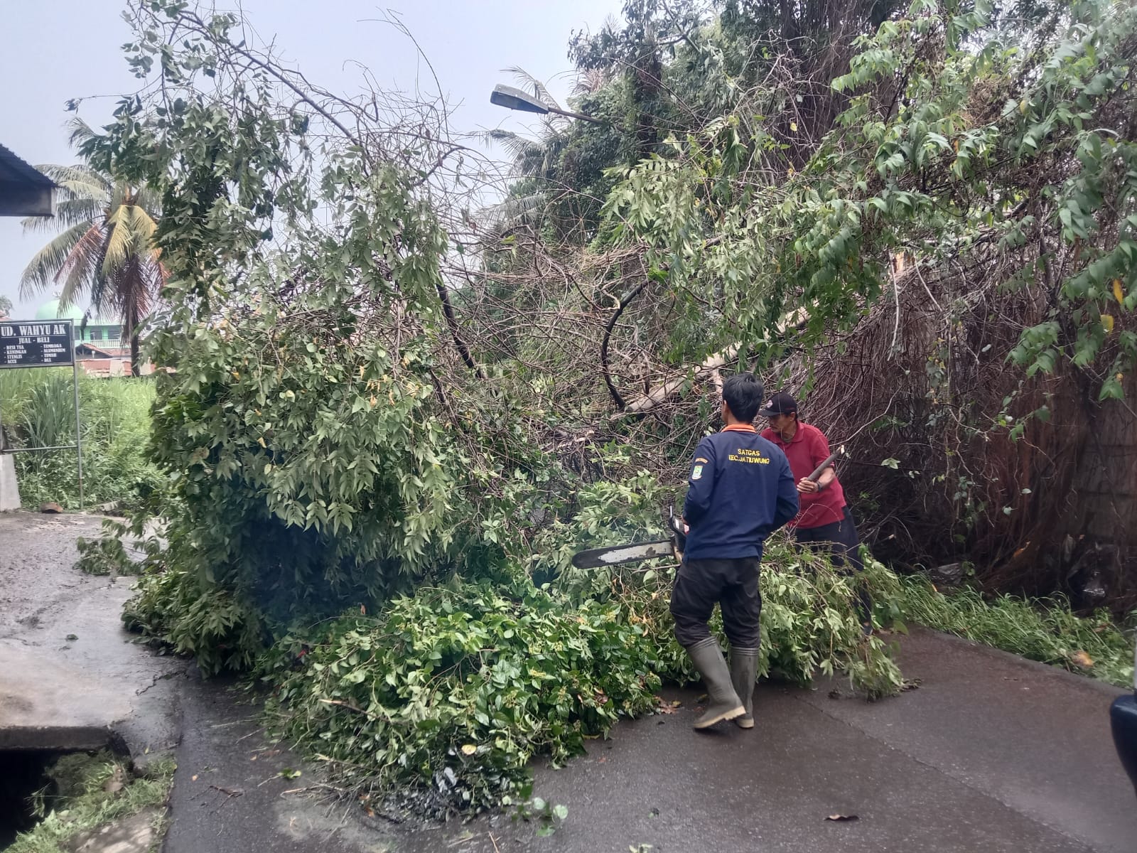 Tim Satgas Kecamatan Jatiuwung Bantu Evakuasi Pohon Tumbang di Jalan Dahu