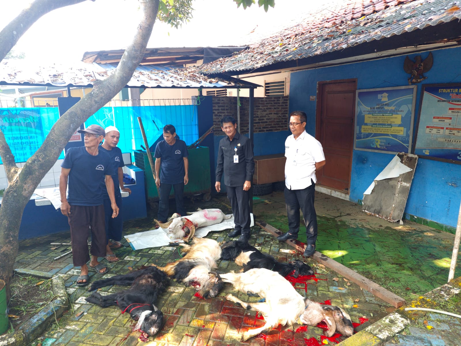 Camat Jatiuwung didampingi Sekcam Jatiuwung menyaksikan proses penyembelihan hewan kurban di halaman kantor Kecamatan Jatiuwung