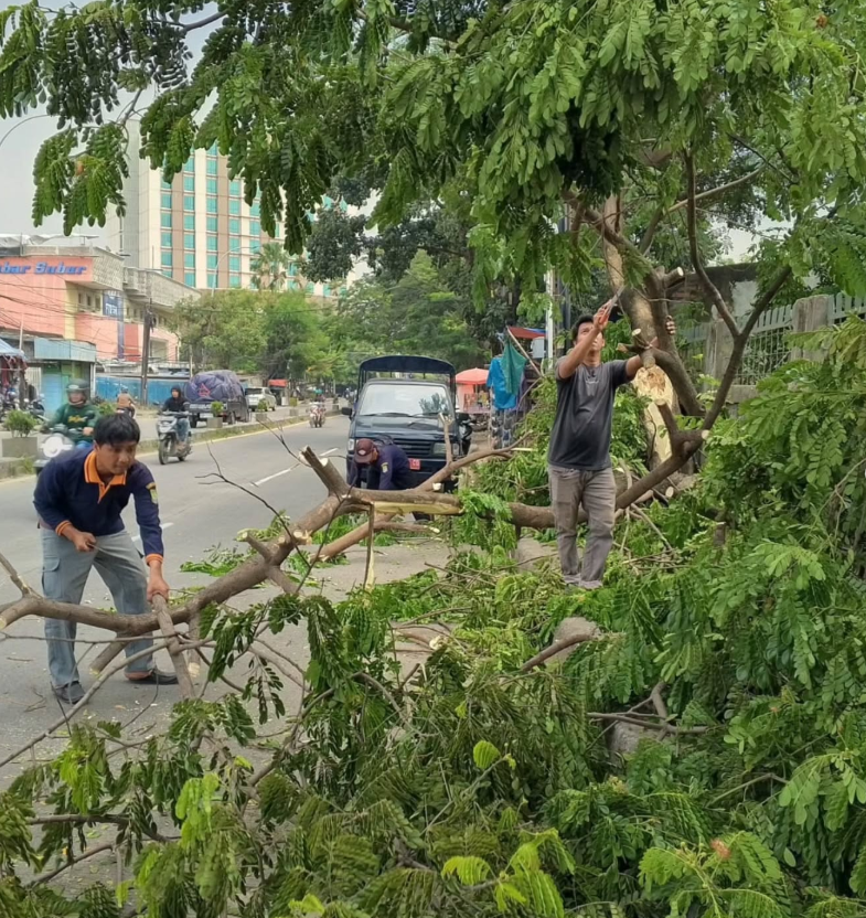 Aksi Pembersihan Pohon Tumbang Yang Terjadi di Jl. Gatot Subroto 